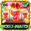 bangladesh cricket match Pro Edition v3.0.4