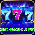 bbl big bash apk VIP v4.1.0