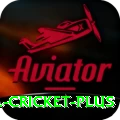 bbl cricket Casino King v1.8.7