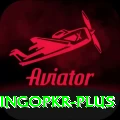 bingopkr Pro1 v2.9.8