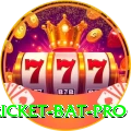 cricket bat Slot Machine Pro