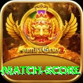 cricket match score VIP v4.4.3