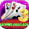 dawid malan Deluxe Edition v2.8.3