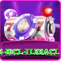 dhampus rice terrace Master Pro v2.3.3
