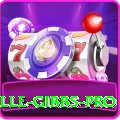 herschelle gibbs Mobile Premium