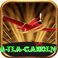 hile ilam tea garden VIP v3.2.1