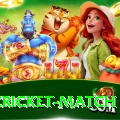 india cricket match Gold Edition v5.0.0