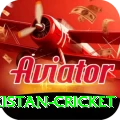 india pakistan cricket VIP Pro v1.4.3