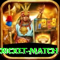 india pakistan cricket match Max Pro v3.0.4