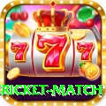 international cricket match Elite v1.5.1