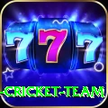 ireland cricket team Turbo v3.1.2