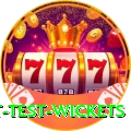 most test wickets Deluxe Pro v4.2.9