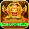 naseem shah yorkers Ultimate v4.8.8
