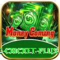 online cricket - VIP Turbo