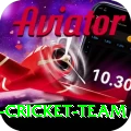 pakistan women cricket team Master v5.8.5