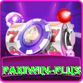 pakiwin Max Pro v2.3.6