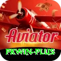 pkwin Premium Edition v5.1.2