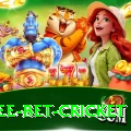 risk free bet cricket Turbo Pro v2.4.2