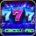 test cricket - King Earning App