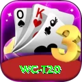 wc t20 VIP Pro v4.3.7