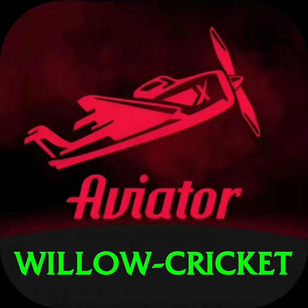 willow cricket Deluxe v1.9.6 - 2