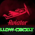willow cricket Deluxe v1.9.6