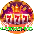 willow cricket - Mega v1.7.4